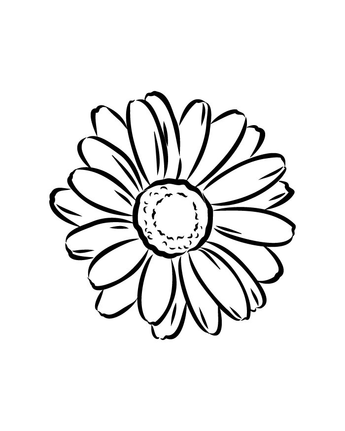 Daisy tattoo, temporary tattoo, semi-permanent, made of natural ink